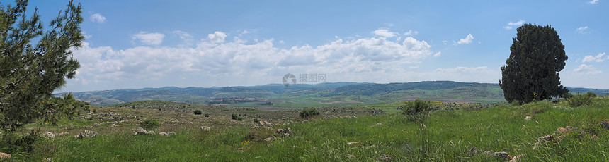 春季的地中海山丘风景农业石头树木蓝色天空植被松树巨石孤独花朵图片