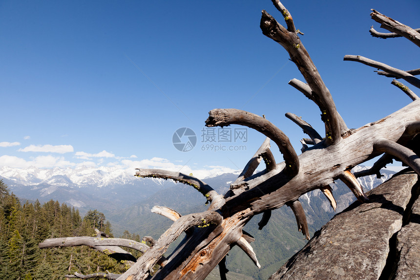 莫尔罗摇滚蓝色荒野风景国家绿色天空山脉松树旅行巨石图片