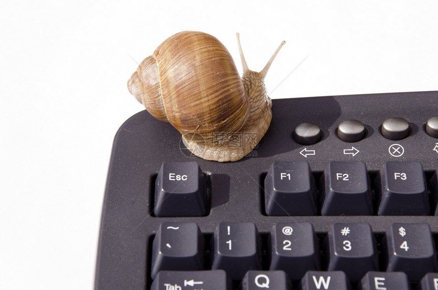 计算机键盘上的蜗牛图片