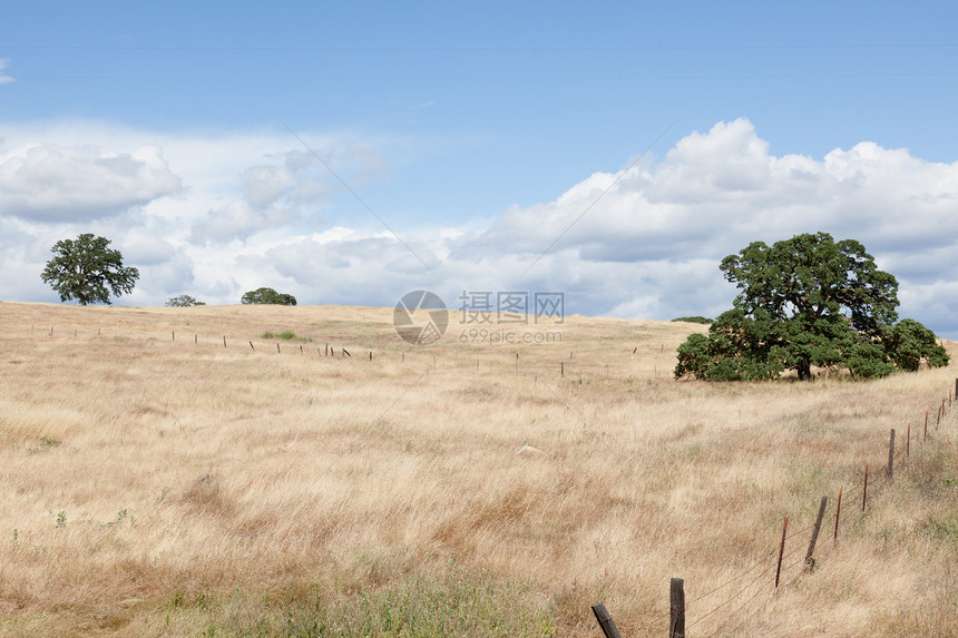 马丽珀萨脚下山丘陵农村树木草地农田旅行山麓风景国家金子图片