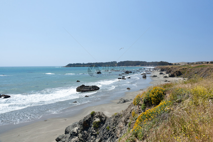 加利福尼亚剖面海岸游客悬崖海洋岩石假期支撑冲浪旅行风景海滩图片