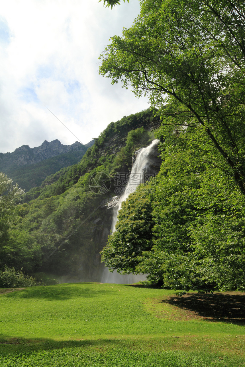 瀑瀑布石头森林公园风景木头溪流软骨植物叶子水景图片