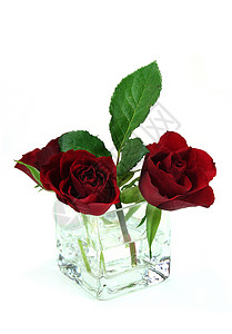 罗丝布盖花朵花束情人庆典红色周年纪念日插花植物群礼物背景图片