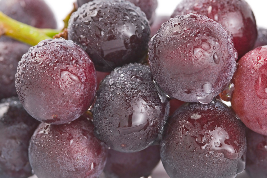 带滴子的葡萄 新鲜水果市场浆果小吃营养收成宏观藤蔓蓝色食物饮食图片