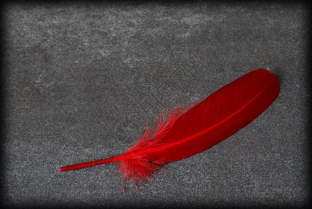 红羽间红色边界黑色框架概念想像力水平羽毛背景图片