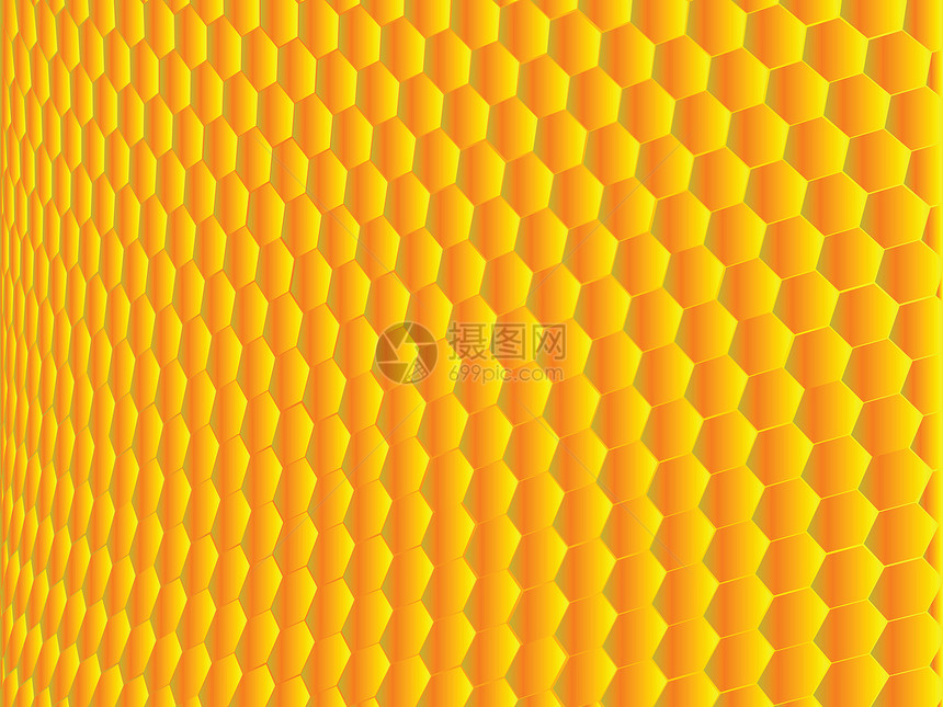 蜂窝昆虫女王梳子蜂蜜插图框架黄色商业食物蜜蜂图片