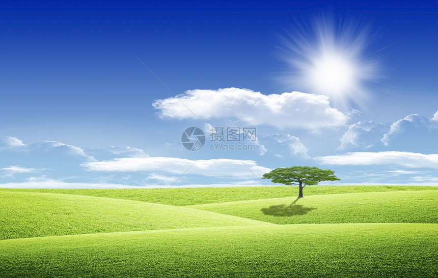 云和太阳在幕后的照片白色树木蓝色绿色光线太阳图片
