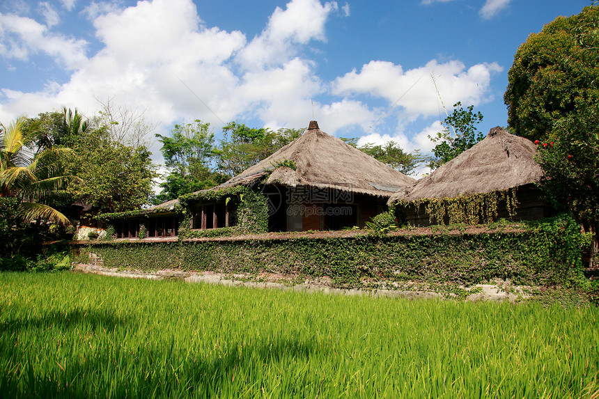 巴厘岛小屋建筑晴天场地住房旅游食物建筑学农场房子阴谋图片