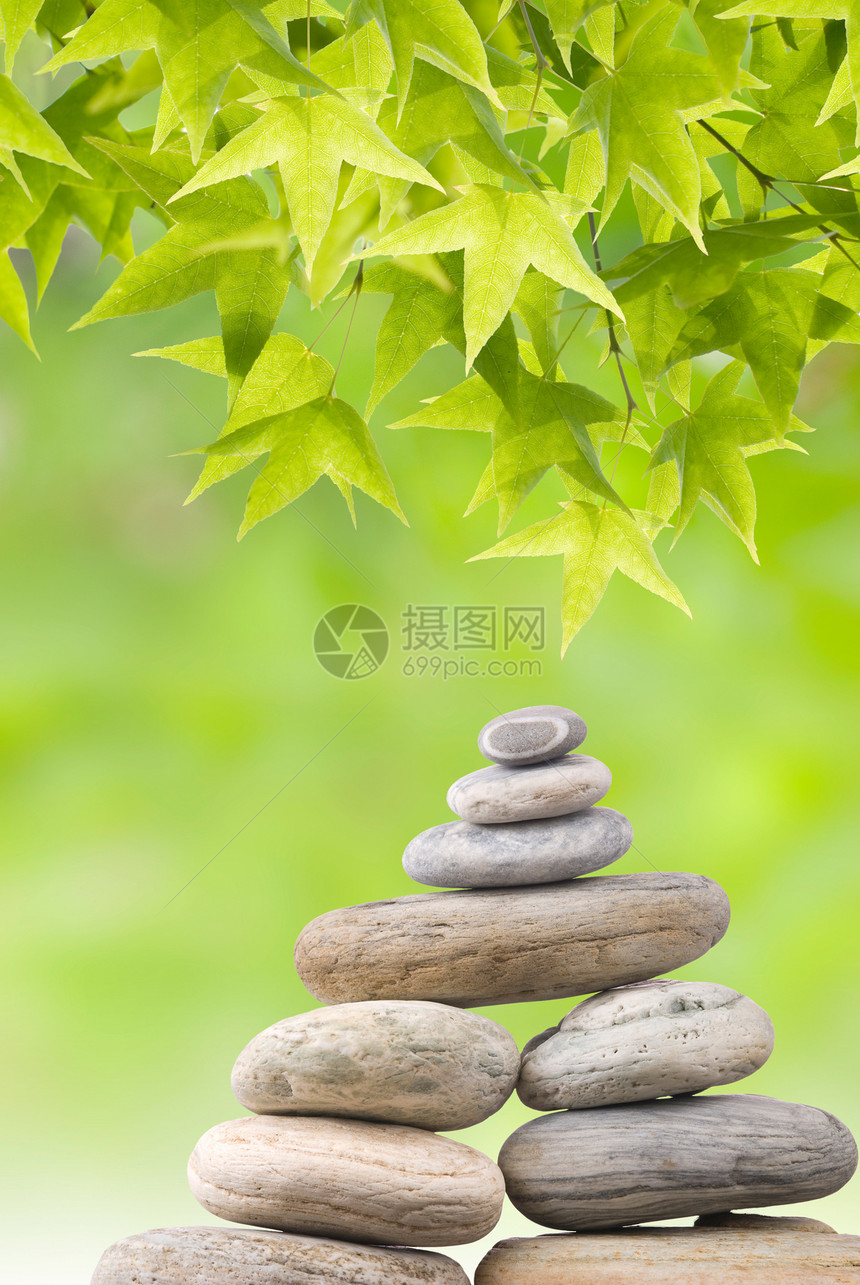 Zen概念 新鲜绿叶和石块图片