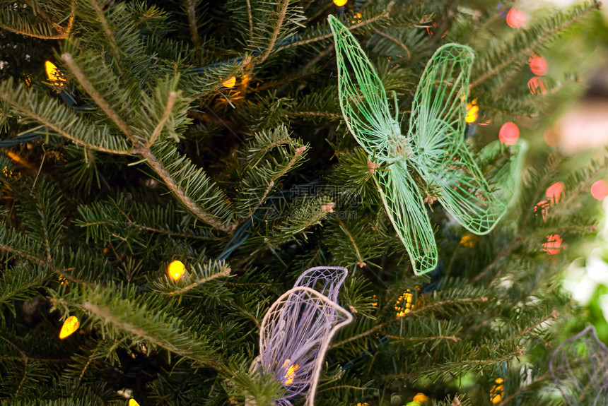 圣诞节装饰松树装饰品木头绿色蝴蝶图片