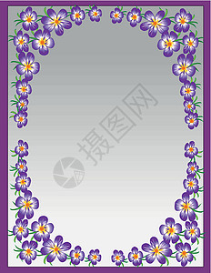 框架框中的装饰花朵植物曲线坡度角落插图艺术礼物灰色紫色背景图片