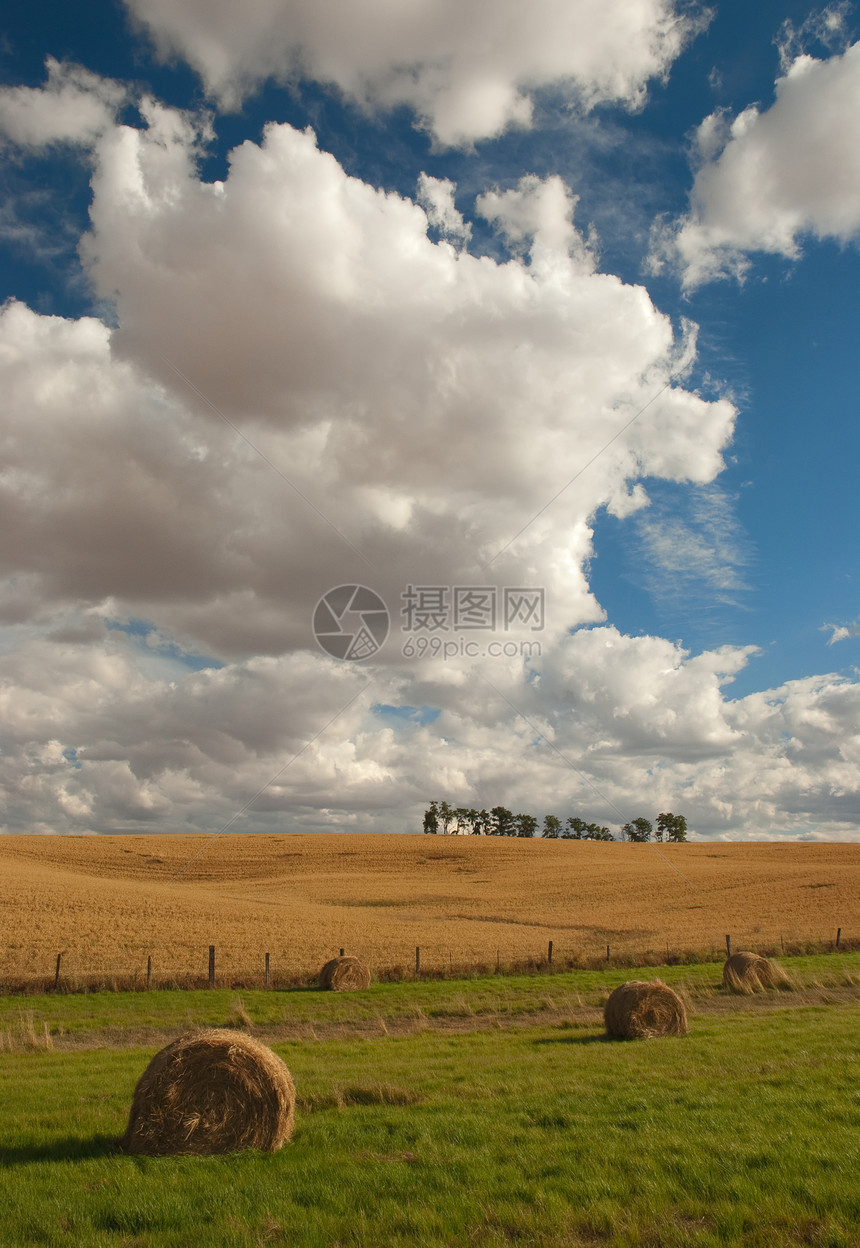美国爱达荷州拉塔县Haybales 农田 树木和云图片