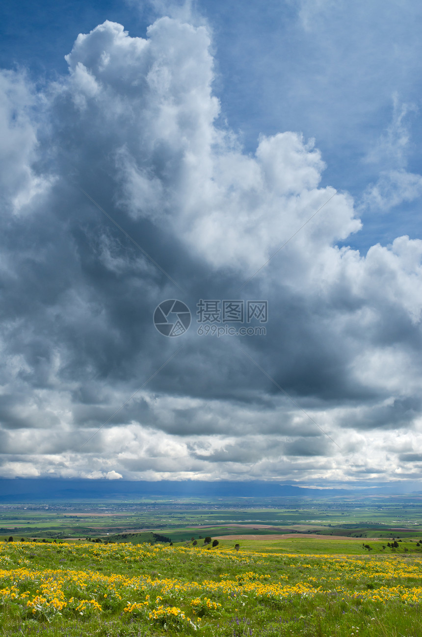 遥远的农田和云地 加拉廷县 美国蒙大拿州农村天空生长场地风景丘陵季节性草地花朵植物图片