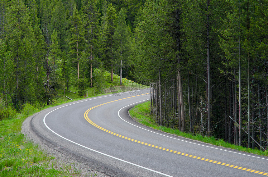 美国191号高速公路和美国怀俄明州泰顿县Grand Teton国家公园松林森林季节大路沥青小路风景松树季节性路面树木曲线图片