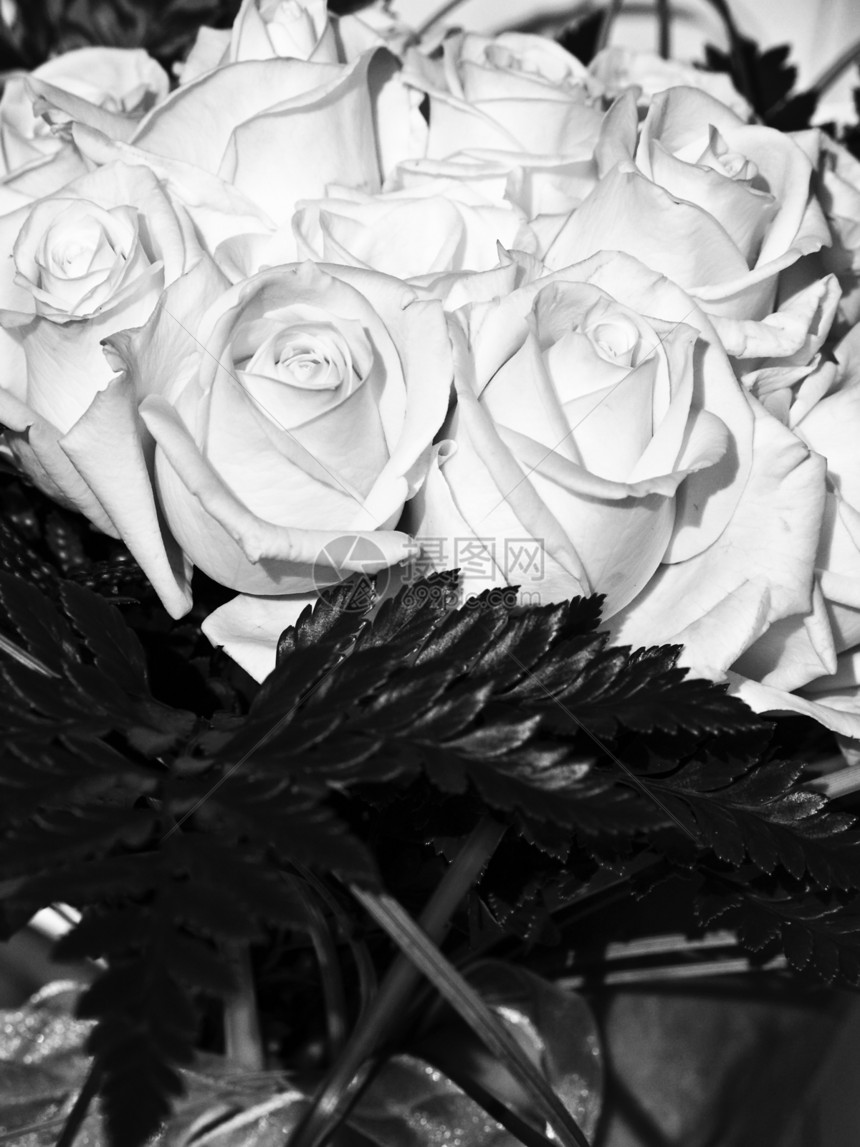 Bridal 布尔新娘婚礼派对婚姻玫瑰装饰风格淋浴浪漫庆典图片