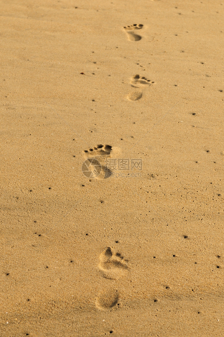 脚步乐趣旅行假期脚印晴天小路踪迹烙印沙漠图片