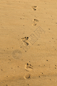 脚步乐趣旅行假期脚印晴天小路踪迹烙印沙漠背景图片