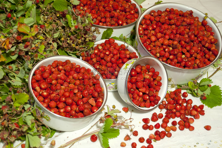 桌桌上的野草莓图片