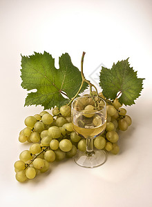 葡萄酒杯树叶玻璃藤蔓葡萄园白酒收成背景图片