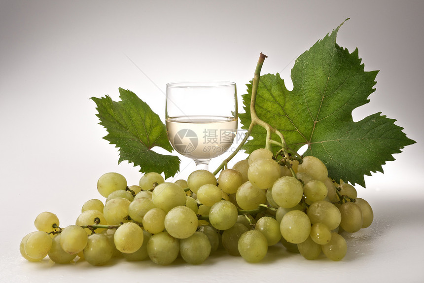 葡萄酒杯葡萄园藤蔓白酒玻璃收成树叶图片
