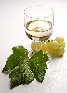 葡萄酒杯玻璃收成葡萄园藤蔓树叶白酒背景图片