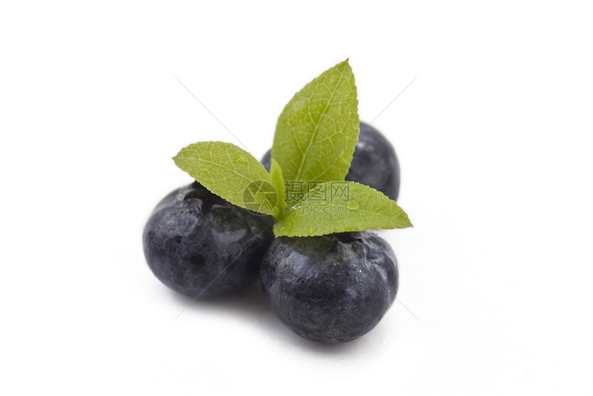 蓝莓树叶绿色团体营养水果饮食白色圆形食物美食图片
