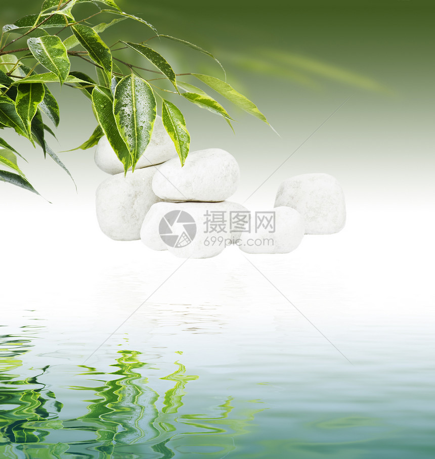 白石上叶子福利温泉波浪生态治疗植物群冥想框架反射环境图片