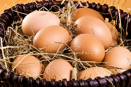 篮子里的新鲜鸡蛋母鸡乡村农场干草团体食物稻草离合器柳条羽毛背景图片