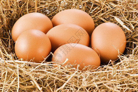 干草新鲜鸡蛋羽毛农场乡村柳条团体离合器母鸡食物稻草篮子背景图片