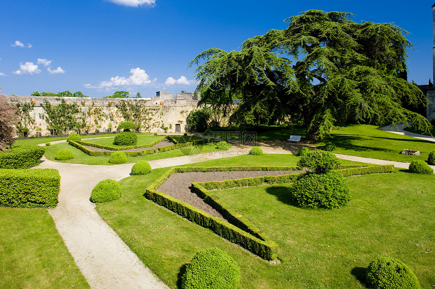 法国卢瓦尔小路旅行植物植物群花园世界城堡位置园艺植物学图片