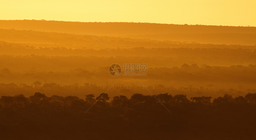 非洲日出阴影衬套大草原国家风景野生动物日落橙子阳光公园图片