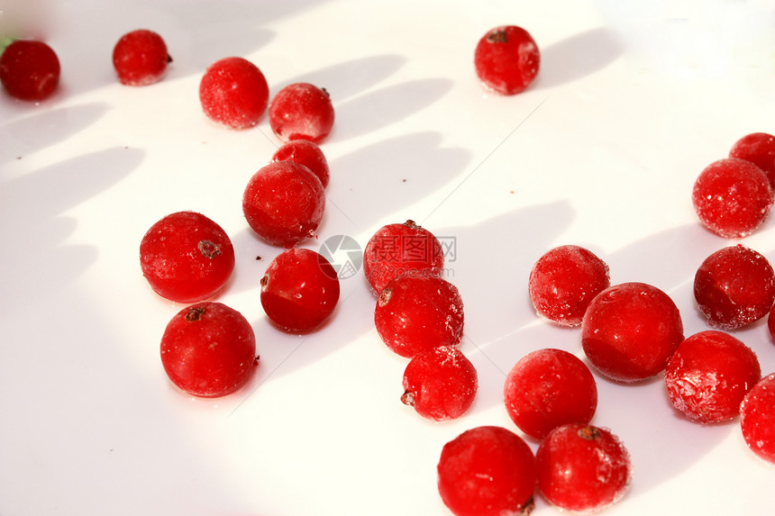 红色长者融化产品收成浆果冻结甜点食物白色飞碟饮食图片