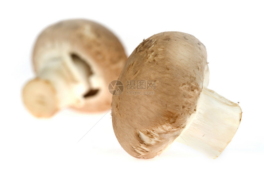 蘑菇食物栗子伞菌白色图片