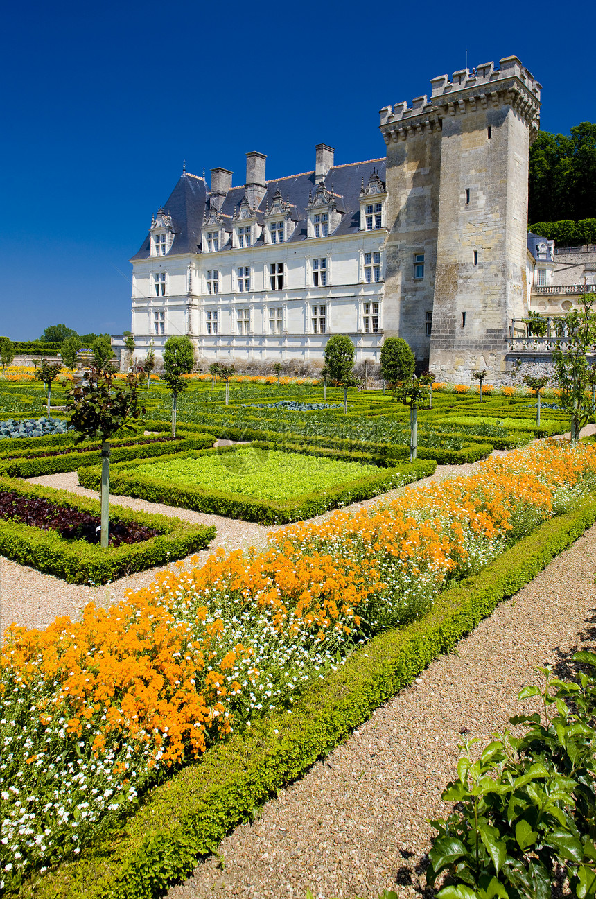 法国中心花园的Vendry城堡宫殿建筑学世界遗产外观植物群花朵旅行植物学历史性景点图片