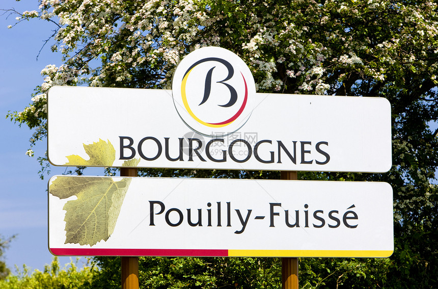 法国勃伦迪 科特马孔奈斯酒业栽培外观位置马孔种植葡萄世界图片