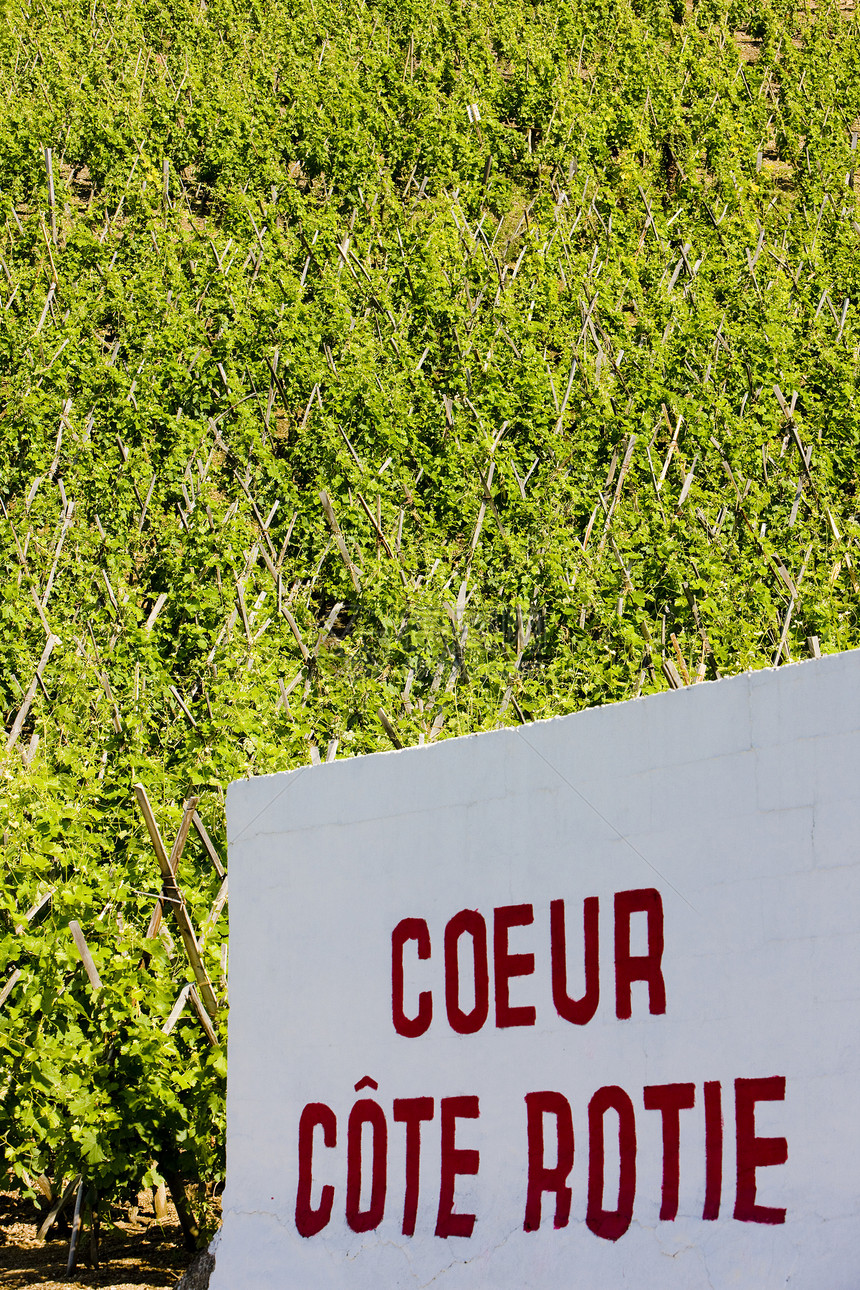 法国罗昂阿尔卑斯 科特罗蒂藤蔓旅行饲养培育国家农村生产外观作物酒业图片