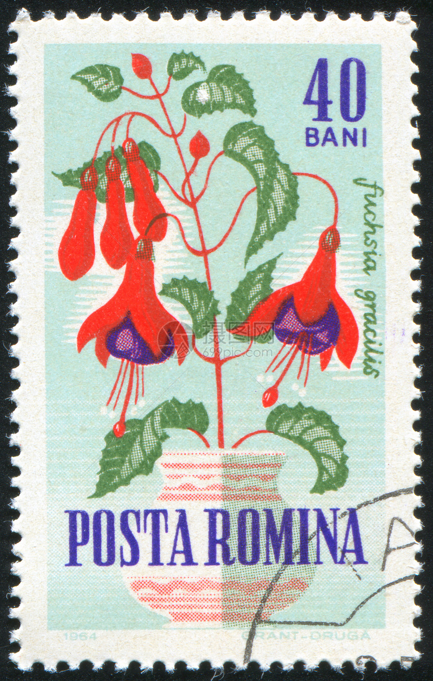 邮票花花瓣植物学植物群邮戳植物邮件信封历史性明信片花店图片