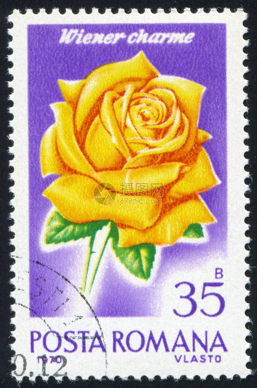 玫瑰组织历史性邮件明信片植物学花店海豹花瓣植物群邮资邮票图片