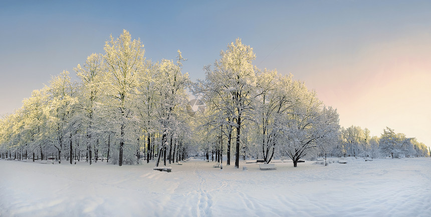 冬季公园全景图片
