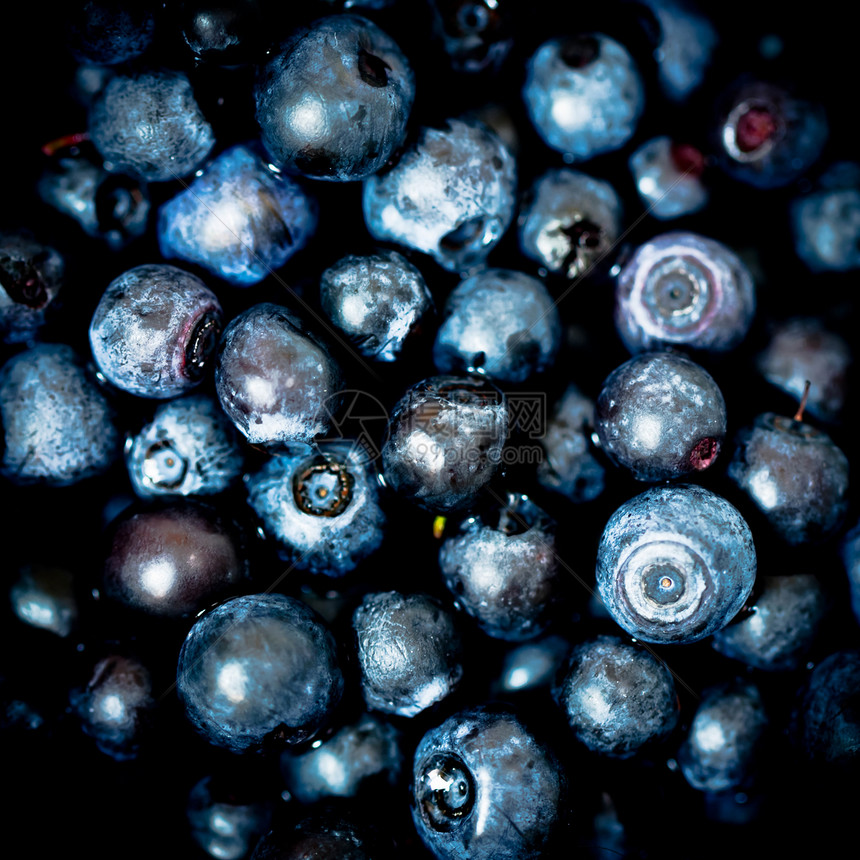 蓝莓生产圆形烹饪采摘食物营养收成蓝色水果饮食图片