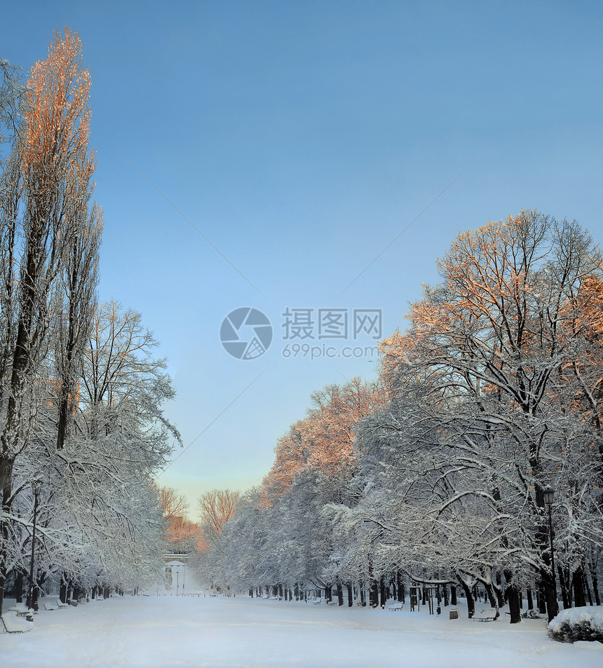 冻结的地貌场景阳光小路树木公园日落全景季节天气风景图片