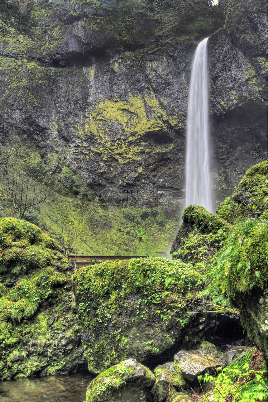哥伦比亚峡谷的埃洛瓦瀑布流动岩石溪流瀑布下雨季节荒野苔藓图片