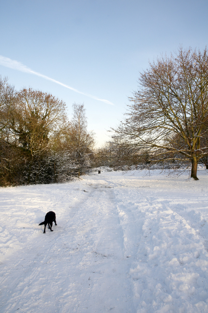 冬天冻结公园曲目树木场地天气降雪小路季节风景图片