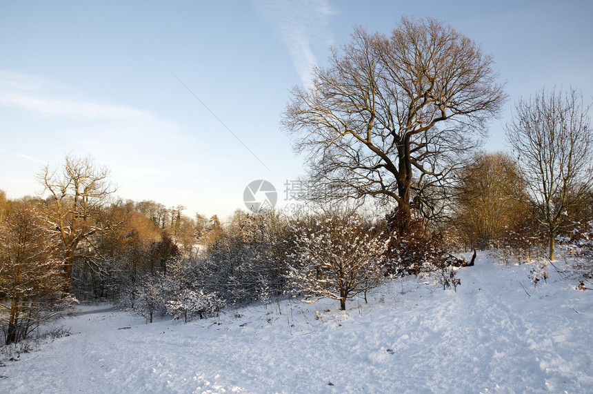 冬天天气季节场景树木公园天空风景小路降雪场地图片
