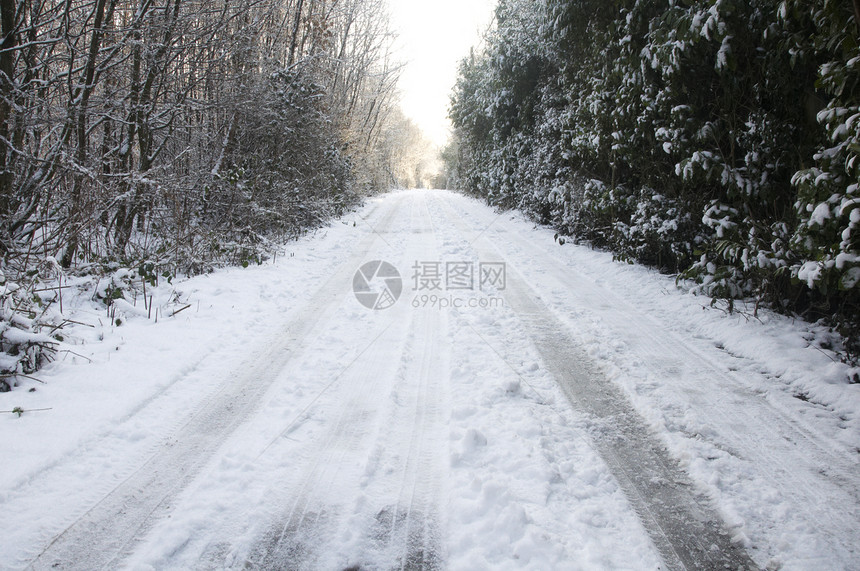 雪地车道森林场景小路城市天空国家曲目天气降雪旅行图片