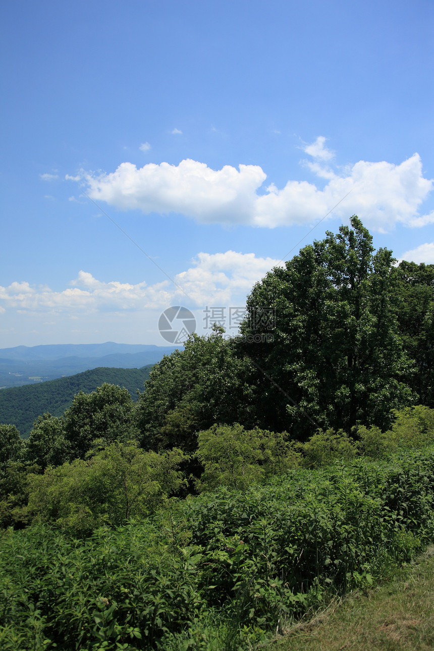 Blue Ridge山  弗吉尼亚州国家绿色场景旅游蓝色旅行山峰树木大路风景图片