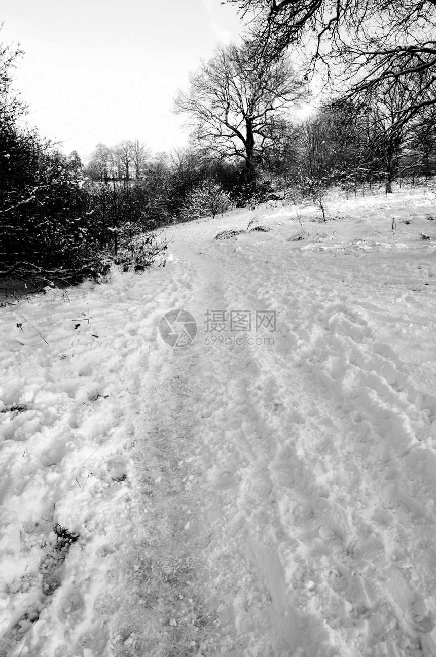 冬天黑与白雪景农村小路天气公园季节国家降雪场景图片