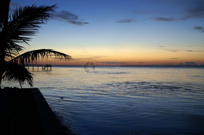 松树岛日落后图片