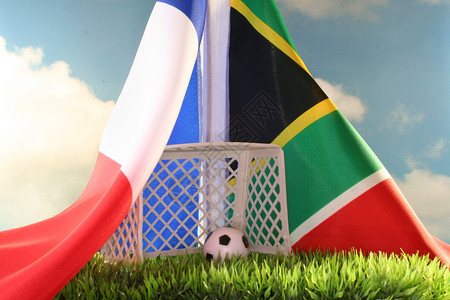 2010年世界杯 法国诉南非背景图片