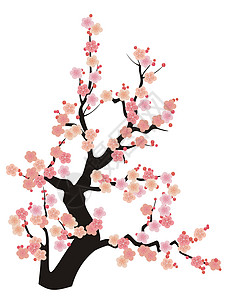 樱花粉色插图背景图片
